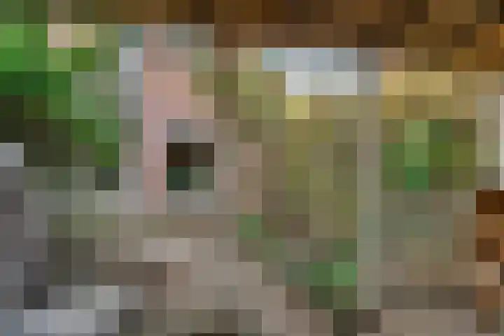 Fluitersdreef 10 Renkum thumbnail 24