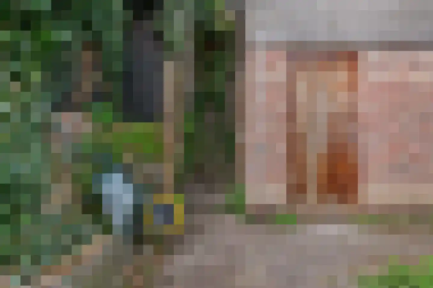 Fluitersdreef 10 Renkum thumbnail 26