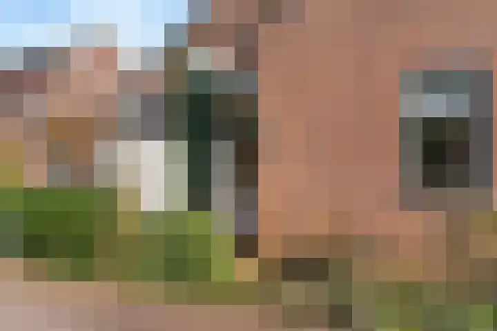 Fluitersdreef 10 Renkum thumbnail 28