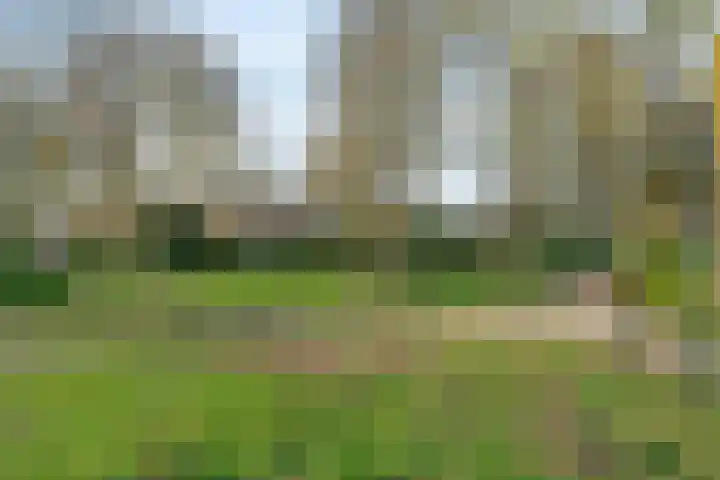 Fluitersdreef 10 Renkum thumbnail 30