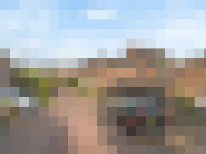 Fluitersdreef 10 Renkum thumbnail 32