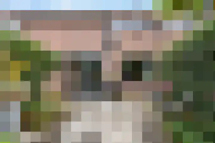 Fluitersdreef 23 Renkum thumbnail 12