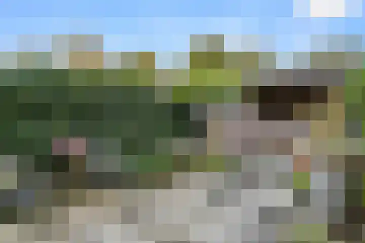 Fluitersdreef 23 Renkum thumbnail 14