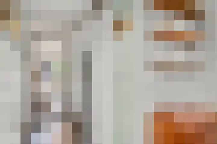 Fluitersdreef 23 Renkum thumbnail 19