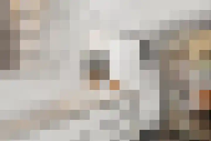 Fluitersdreef 23 Renkum thumbnail 30