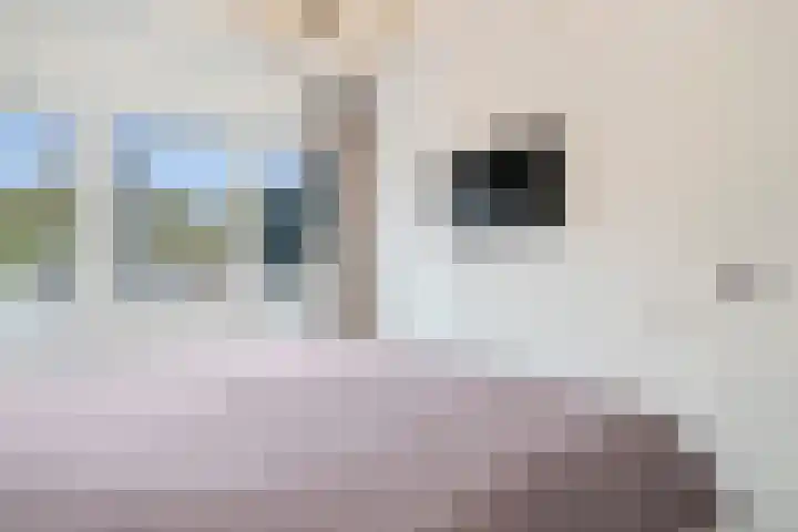 Fluitersdreef 23 Renkum thumbnail 33