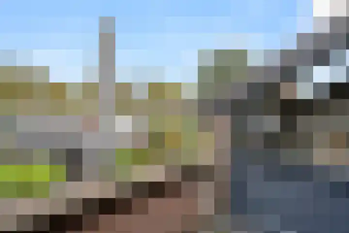 Fluitersdreef 23 Renkum thumbnail 35