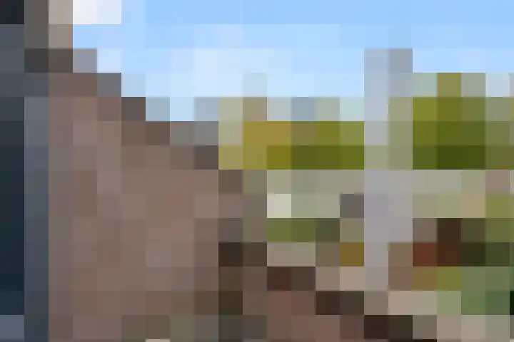 Fluitersdreef 23 Renkum thumbnail 36