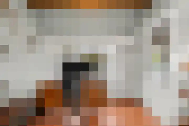 Fluitersdreef 23 Renkum thumbnail 51