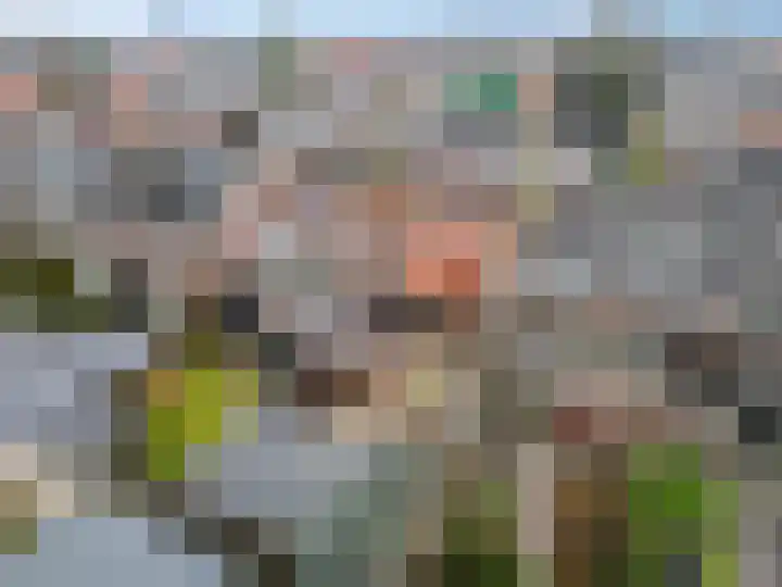 Fluitersstraat 29 Veenendaal thumbnail 30