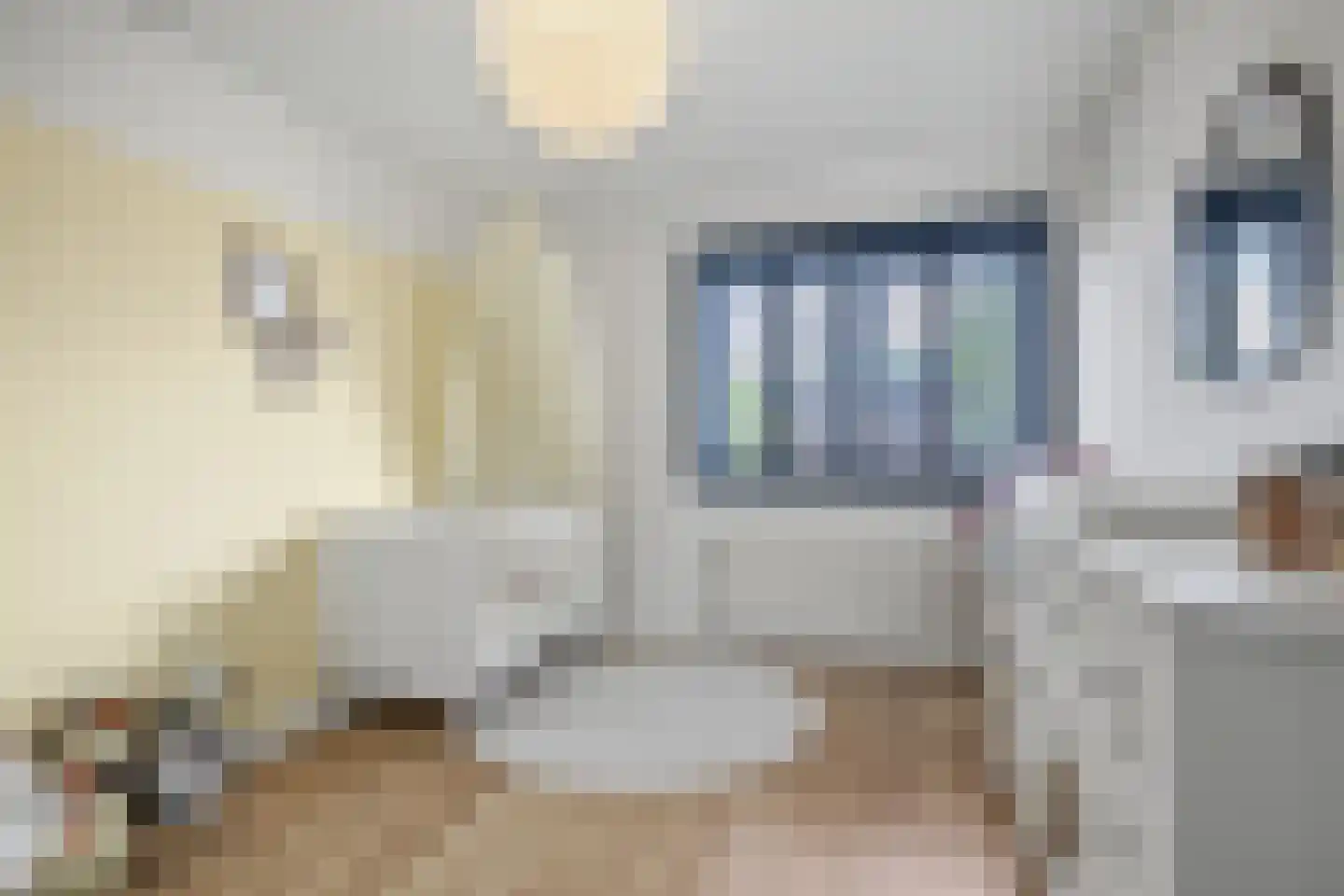 Fluitersstraat 31 A Veenendaal thumbnail 26
