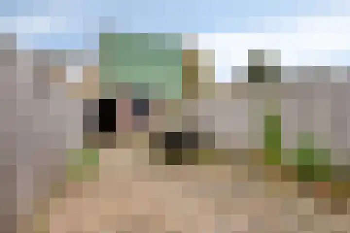 Fluitersstraat 38 Veenendaal thumbnail 30