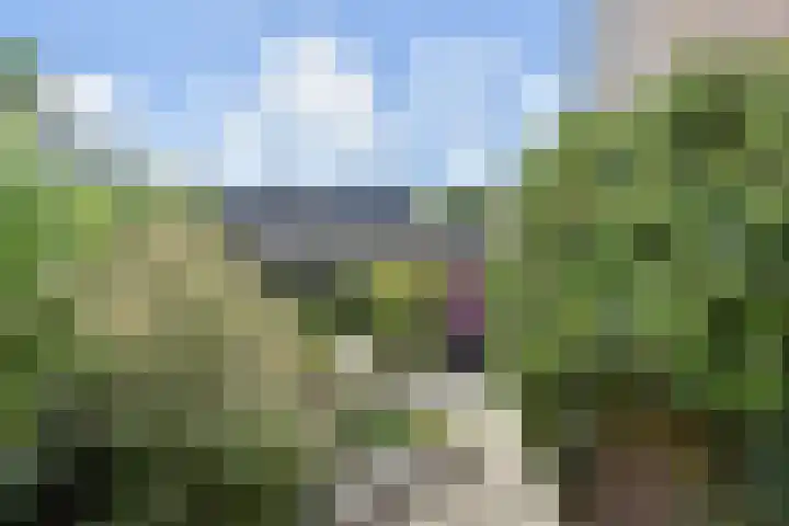 Fluitschipkade 17 Zoetermeer thumbnail 24