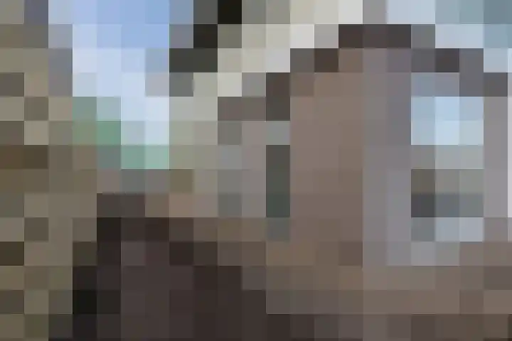 Fluitschipkade 17 Zoetermeer thumbnail 28