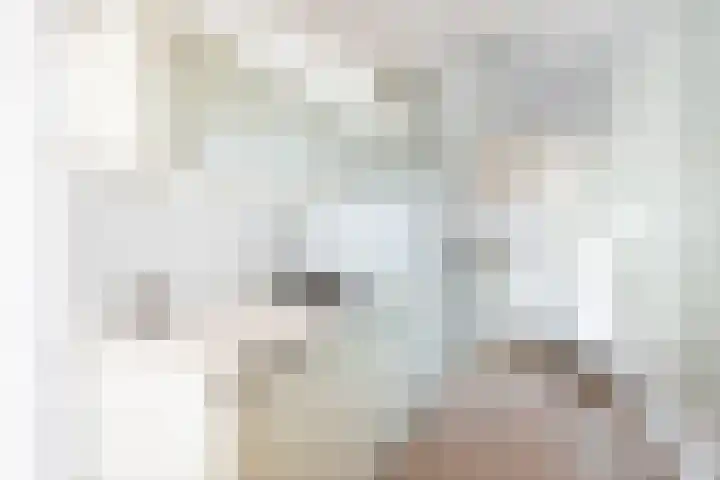 Fluitschiplaan 153 Den Haag thumbnail 25