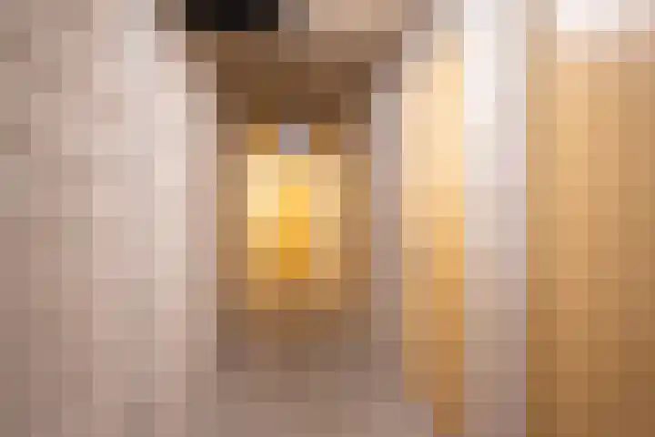 Fluitschiplaan 153 Den Haag thumbnail 36