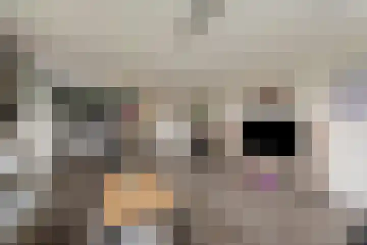 Fluitschiplaan 7 Den Haag thumbnail 9