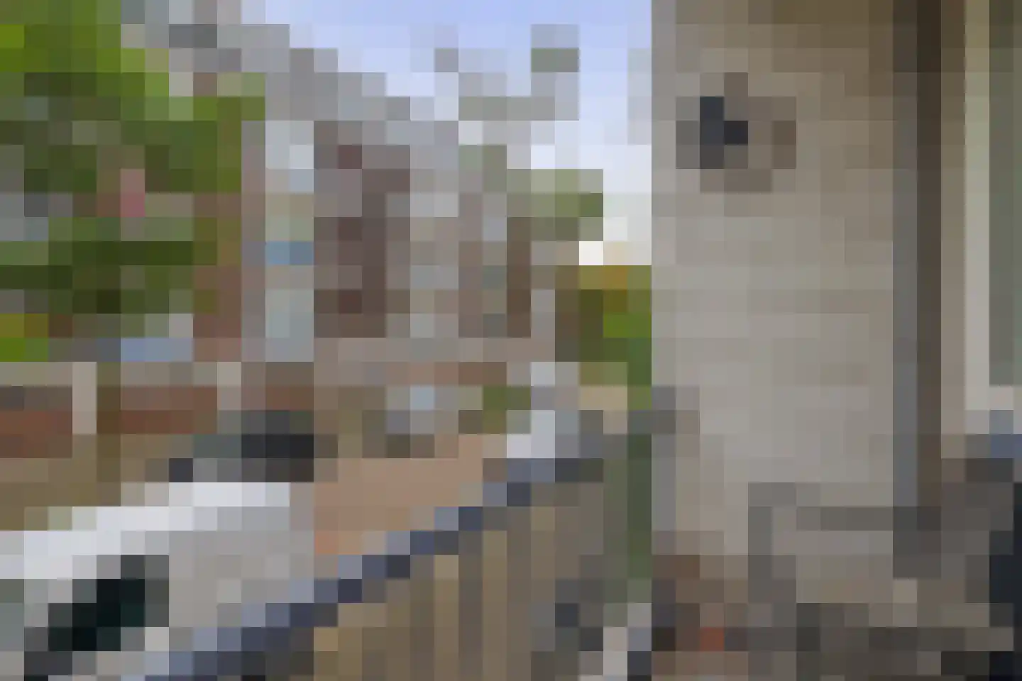 Fluitstraat 11 A Rotterdam thumbnail 25