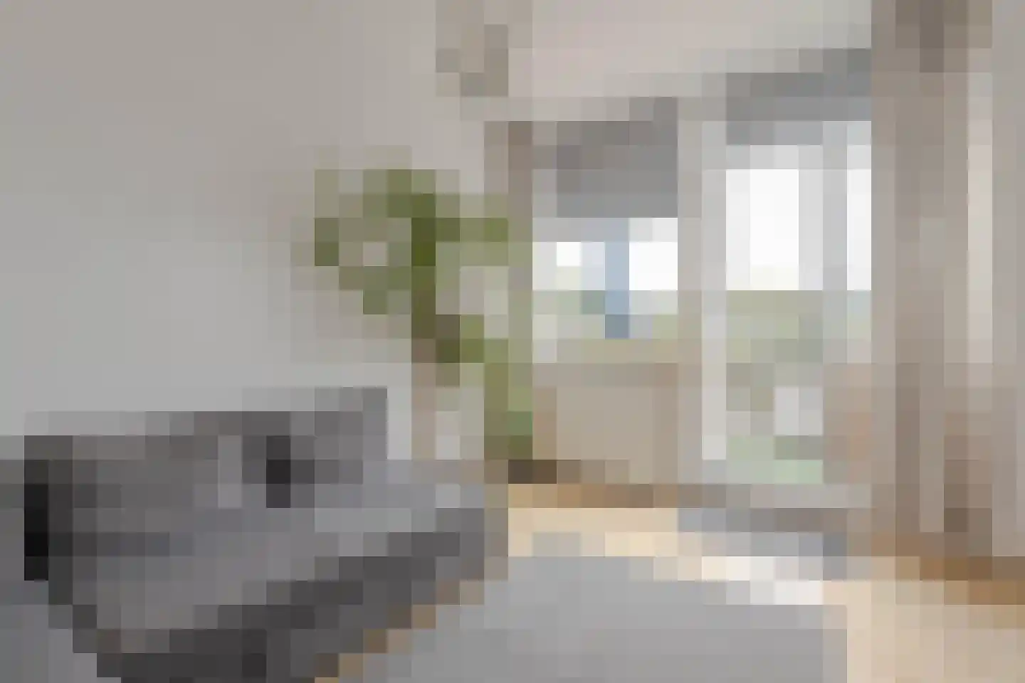 Fluitstraat 13 D Rotterdam thumbnail 10