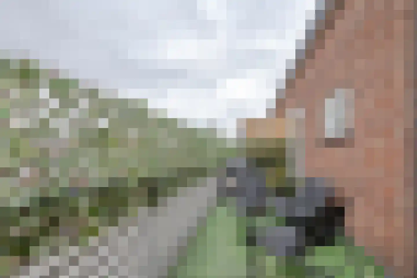 Fluitstraat 13 D Rotterdam thumbnail 12