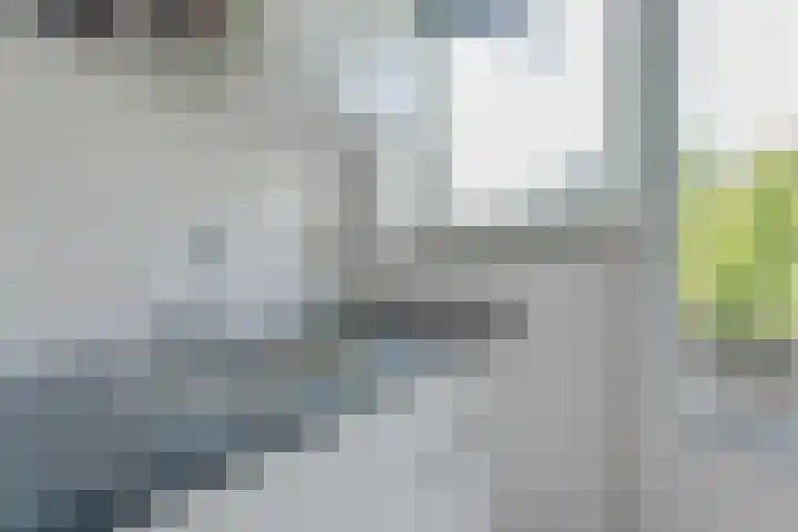 Fluitstraat 13 D Rotterdam thumbnail 15