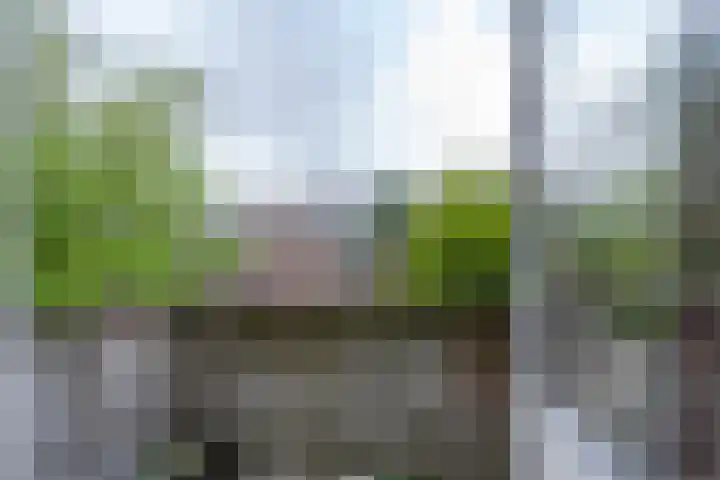 Fluitstraat 13 D Rotterdam thumbnail 23