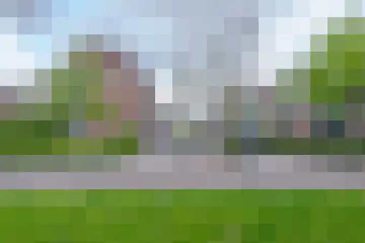 Fluitstraat 13 D Rotterdam thumbnail 28