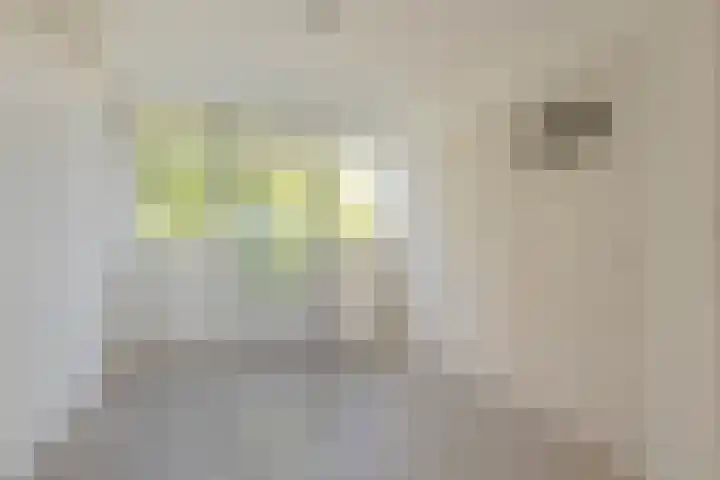 Fluitstraat 16 D Rotterdam thumbnail 9