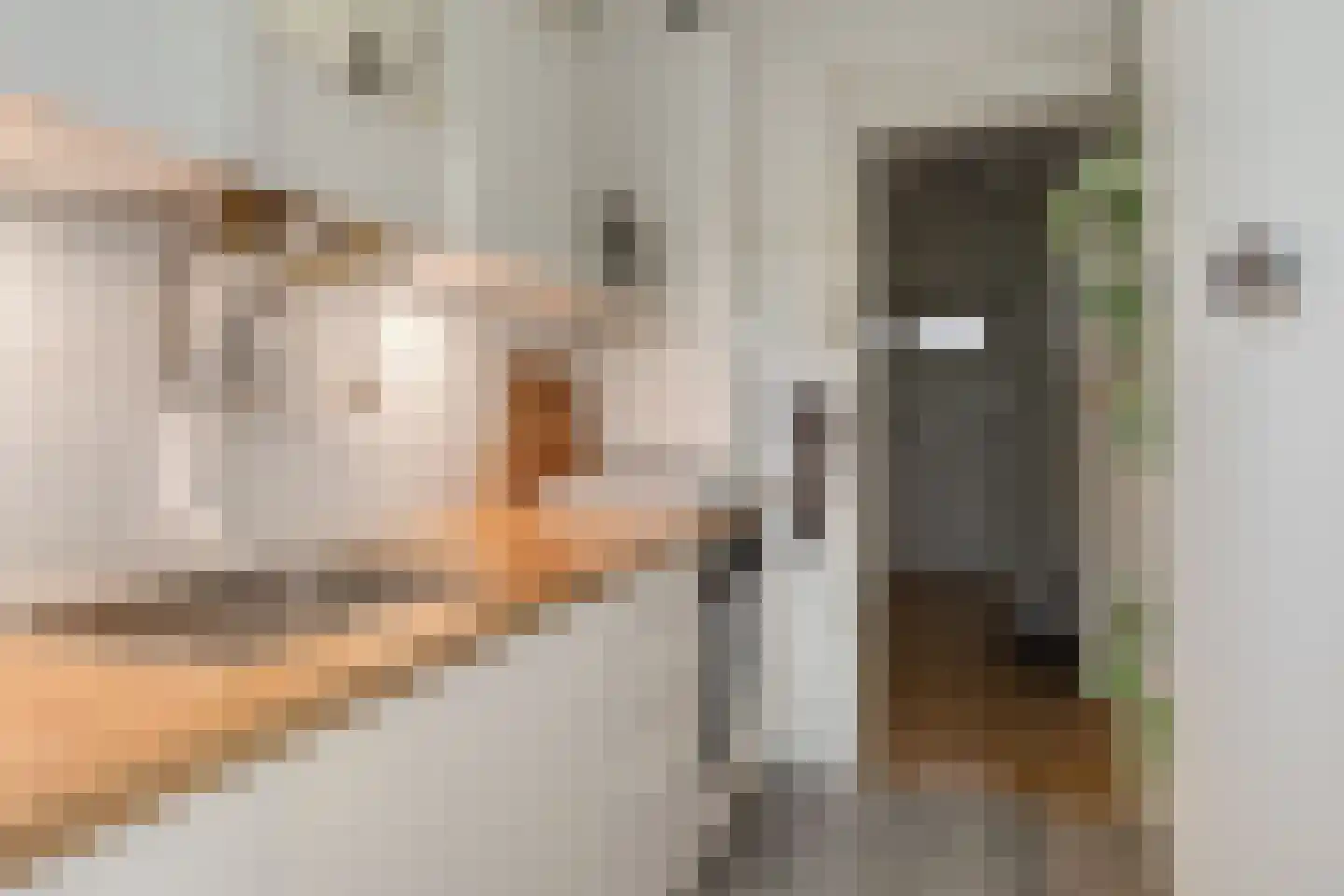 Fluitstraat 7 D Rotterdam thumbnail 9