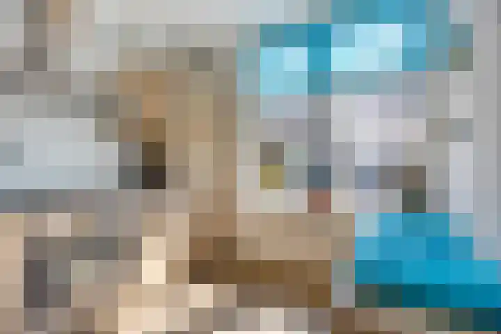 Fluitweg 4 B Goes thumbnail 12
