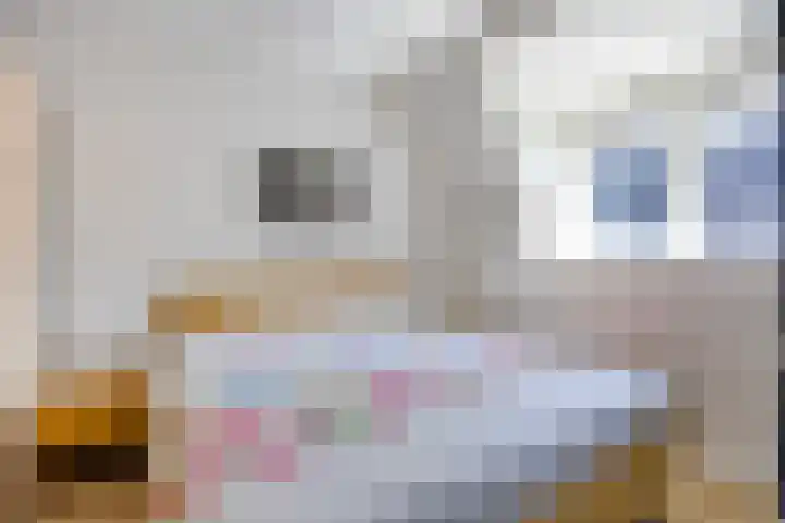 Fluitweg 4 B Goes thumbnail 13