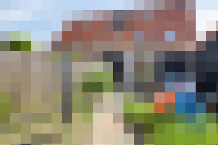 Fluitweg 4 B Goes thumbnail 22