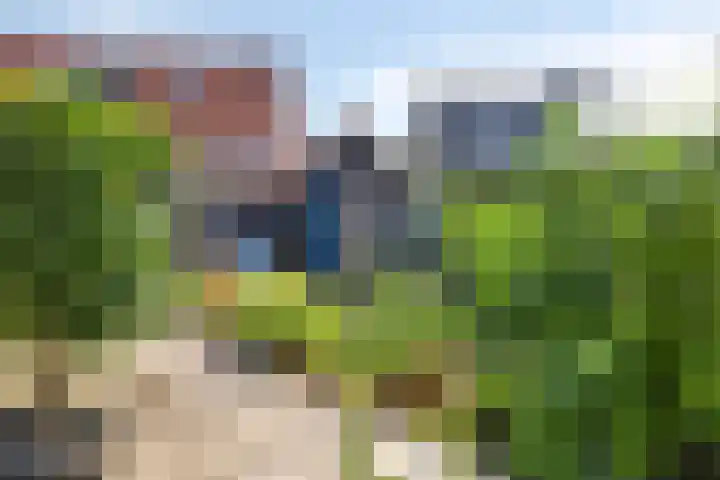 Fluitweg 4 B Goes thumbnail 24