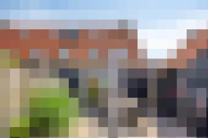 Fluitweg 4 B Goes thumbnail 25