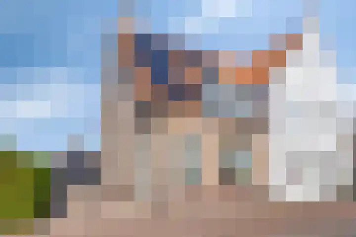 Fluitweg 4 B Goes thumbnail 30