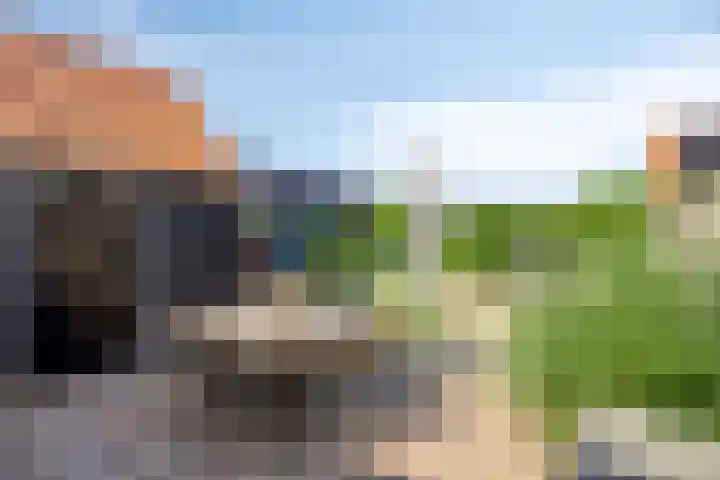 Fluitweg 4 B Goes thumbnail 4
