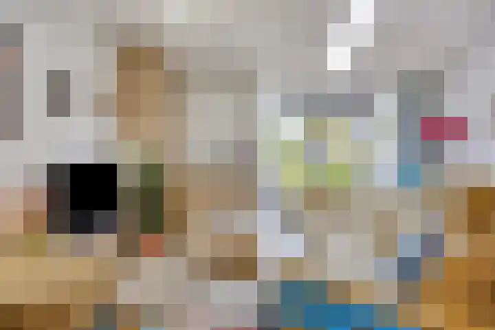 Fluitweg 4 B Goes thumbnail 8