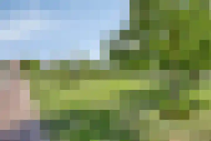 Fluitweg 4 Goes thumbnail 11