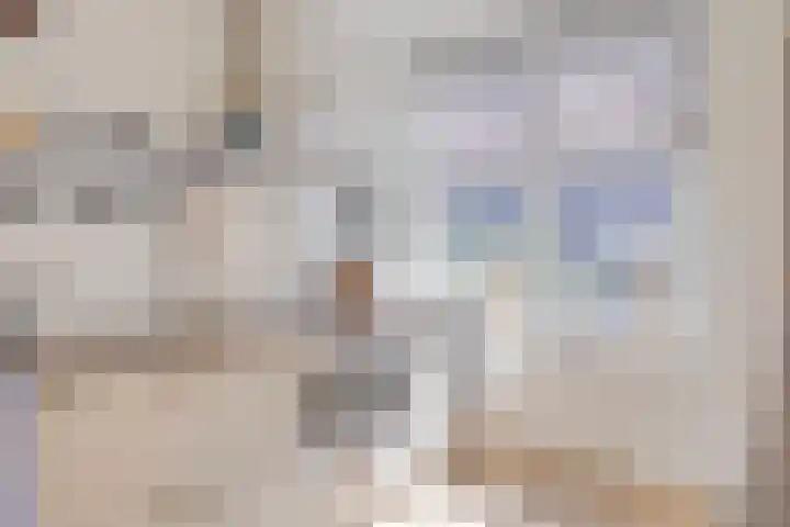 Fluitweg 4 Goes thumbnail 13