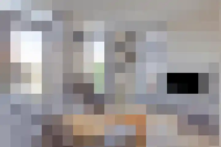 Fluitweg 4 Goes thumbnail 18