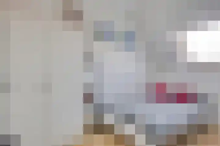 Fluitweg 4 Goes thumbnail 22