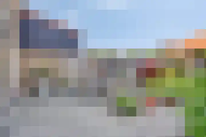 Fluitweg 4 Goes thumbnail 6