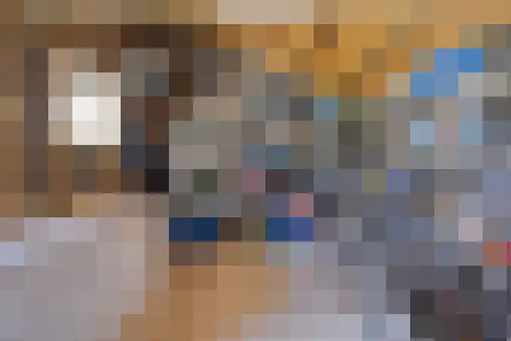 Fluitweg 4 Goes thumbnail 9
