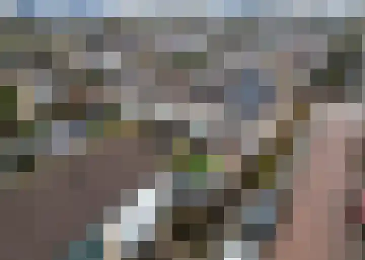 Fluoriet 1 Heerhugowaard thumbnail 34