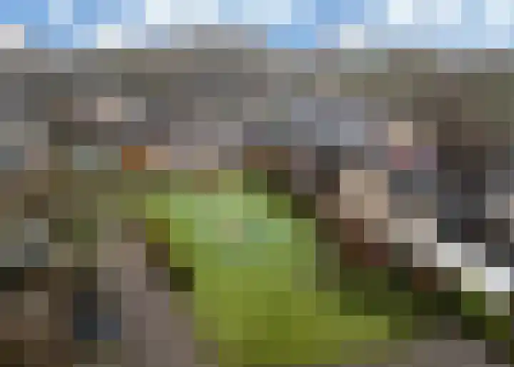 Fluoriet 1 Heerhugowaard thumbnail 35