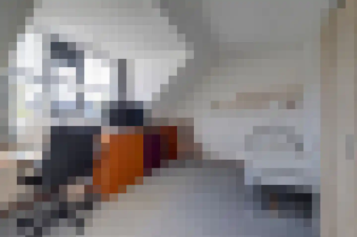 Fluvia 6 Veenendaal thumbnail 25