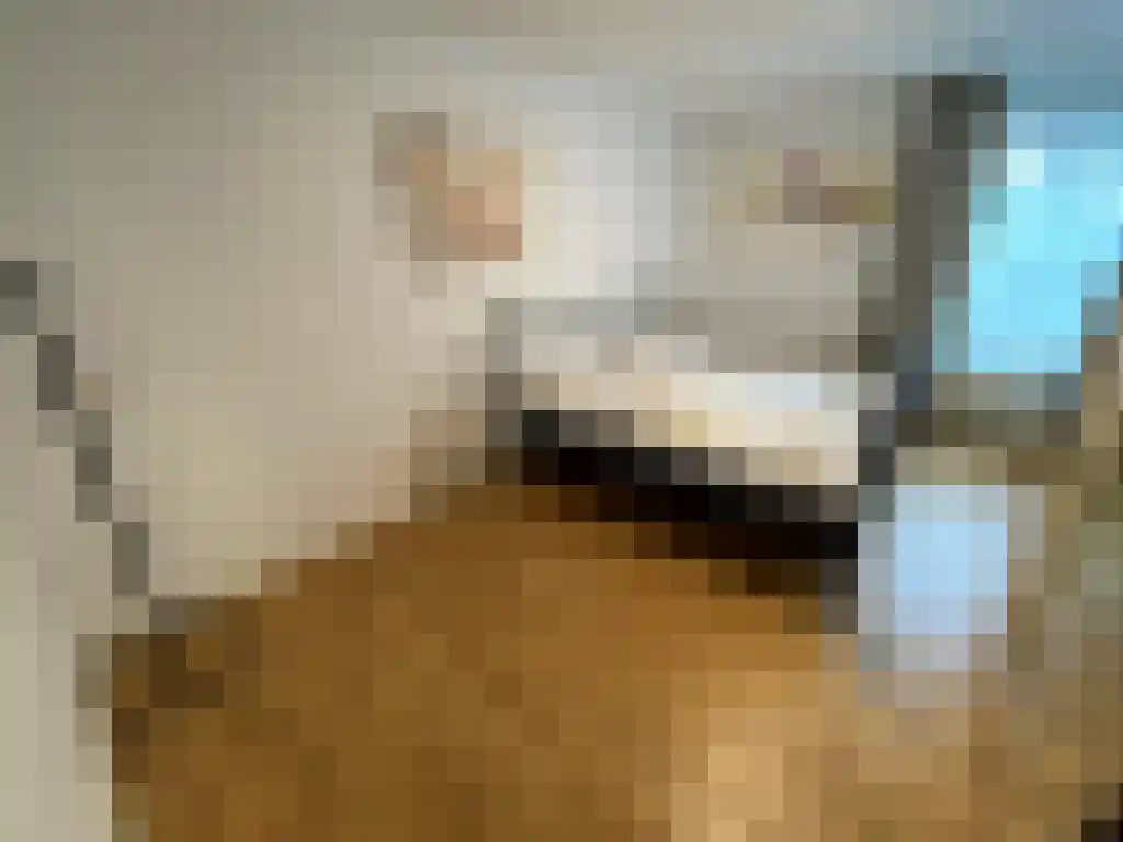 Fluweelboomlaan 103 Amstelveen thumbnail 4