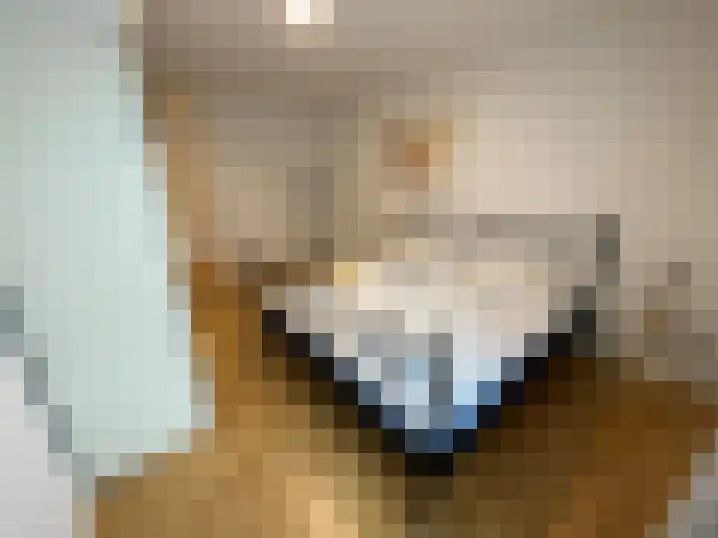 Fluweelboomlaan 103 Amstelveen thumbnail 5