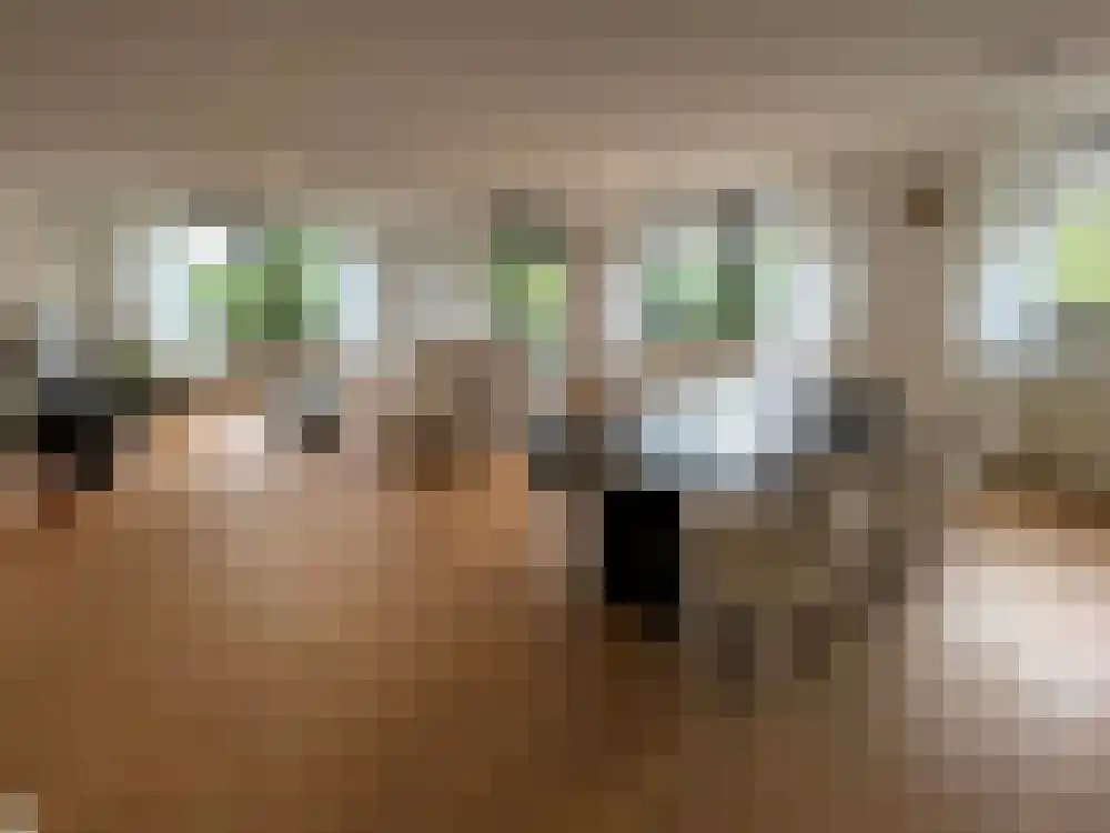 Fluweelboomlaan 103 Amstelveen thumbnail 8