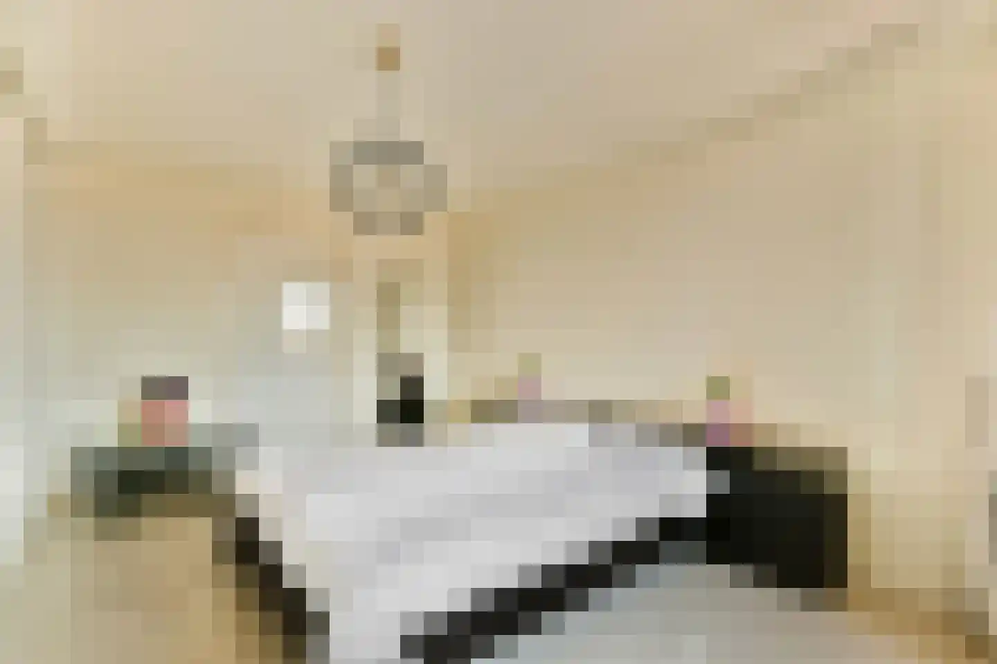 Fluweelboomlaan 107 Amstelveen thumbnail 15